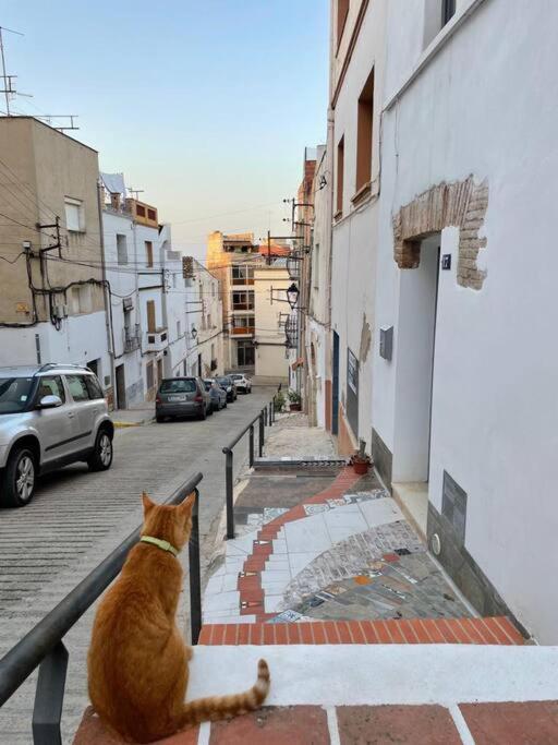 Townhouse - Casa Rustica Entre Mar Y Montana Alcanar Exterior foto